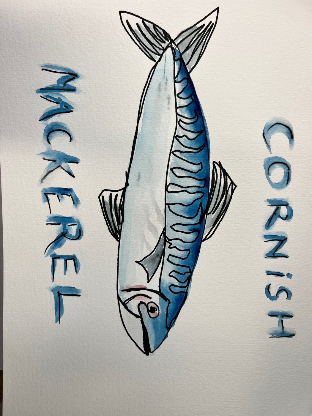 Cornish Mackerel — a mackerel in ink and blue wash, lettered by hand