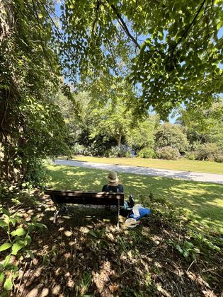Alison at work on a bench, the water beyond